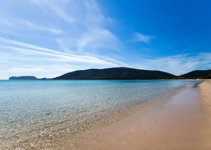 Apartman Spacious In *