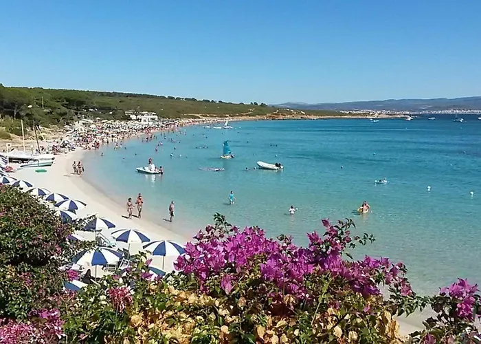 Spacious In Apartman